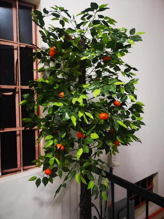 Апартаменты Estrelle Orange House - Backpackers Hub Пуэрто-Принцеса Экстерьер фото